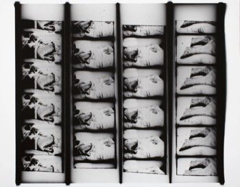 Photographie sans titre nº 07 du portfolio Teenage Lust de Larry Clark