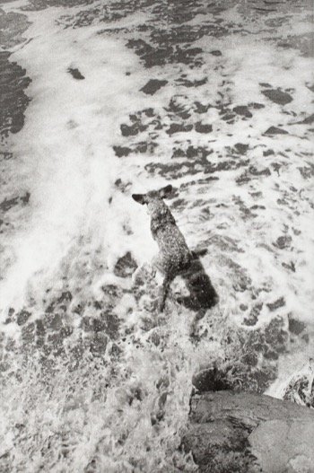 Photographie sans titre nº 31 du portfolio Teenage Lust de Larry Clark