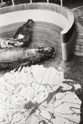 Photographie Florida du portfolio Teenage Lust de Larry Clark